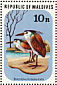 Striated Heron Butorides striata  1977 Birds  MS