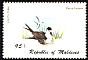 Sooty Tern Onychoprion fuscatus  1980 Birds 