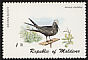 Brown Noddy Anous stolidus  1980 Birds 