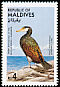 Great Cormorant Phalacrocorax carbo  1985 Audubon 