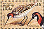 Red-necked Phalarope Phalaropus lobatus  1985 Audubon  MS