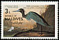 Little Blue Heron Egretta caerulea  1986 Audubon 