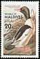 Common Merganser Mergus merganser  1986 Audubon 