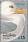 Northern Fulmar Fulmarus glacialis  1986 Audubon  MS