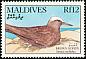 Brown Noddy Anous stolidus  1990 Birds 