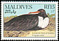 Lesser Frigatebird Fregata ariel  1990 Birds 