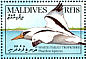 White-tailed Tropicbird Phaethon lepturus  1990 Birds  MS MS