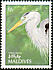 Grey Heron Ardea cinerea  1992 Birds 