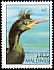 European Shag Gulosus aristotelis  1992 Birds 