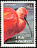 Scarlet Ibis Eudocimus ruber  1992 Birds 
