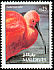 Scarlet Ibis Eudocimus ruber