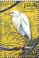 Eastern Cattle Egret  Bubulcus coromandus