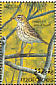 Tree Pipit Anthus trivialis  1993 Birds Sheet