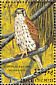 Common Kestrel Falco tinnunculus  1993 Birds Sheet