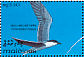 Gull-billed Tern Gelochelidon nilotica  1993 Birds Sheet
