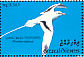 White-tailed Tropicbird Phaethon lepturus