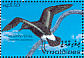 Wilson's Storm Petrel Oceanites oceanicus