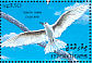 White Tern Gygis alba  1993 Birds Sheet