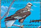 Western Marsh Harrier Circus aeruginosus  1993 Birds Sheet