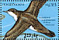 Audubon's Shearwater Puffinus lherminieri  1993 Birds  MS MS