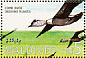 Knob-billed Duck Sarkidiornis melanotos  1995 Ducks Sheet