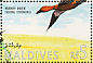 Ruddy Shelduck Tadorna ferruginea  1995 Ducks Sheet