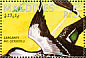 Indian Spot-billed Duck Anas poecilorhyncha  1995 Ducks Sheet