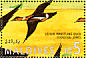 Lesser Whistling Duck Dendrocygna javanica  1995 Ducks Sheet