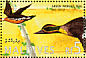 Eurasian Teal Anas crecca  1995 Ducks Sheet