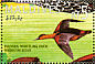 Fulvous Whistling Duck Dendrocygna bicolor  1995 Ducks Sheet