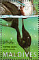 Tufted Duck Aythya fuligula  1995 Ducks Sheet