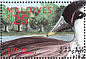 Indian Spot-billed Duck Anas poecilorhyncha  1995 Ducks  MS MS