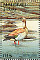 Egyptian Goose Alopochen aegyptiaca  1996 Wildlife of the world 8v sheet