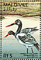 Saddle-billed Stork Ephippiorhynchus senegalensis  1996 Wildlife of the world 8v sheet