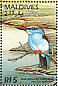 Blue-breasted Kingfisher Halcyon malimbica  1996 Wildlife of the world 8v sheet