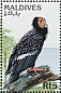 California Condor Gymnogyps californianus  1997 Birds of the world Sheet