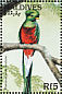 Resplendent Quetzal Pharomachrus mocinno  1997 Birds of the world Sheet
