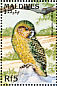 Kakapo Strigops habroptila  1997 Birds of the world Sheet