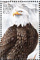 Bald Eagle Haliaeetus leucocephalus  1997 Bald Eagle  MS