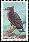 Chaco Eagle Buteogallus coronatus  1997 Eagles of the world 