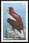 Steller's Sea Eagle Haliaeetus pelagicus  1997 Eagles of the world 