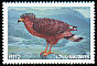 Crested Serpent Eagle Spilornis cheela  1997 Eagles of the world 