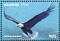 Bald Eagle Haliaeetus leucocephalus  1997 Eagles of the world  MS