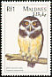 Spectacled Owl Pulsatrix perspicillata  1997 Birds of the world 