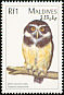 Spectacled Owl Pulsatrix perspicillata