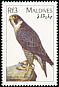 Peregrine Falcon Falco peregrinus  1997 Birds of the world 