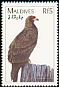 Golden Eagle Aquila chrysaetos  1997 Birds of the world 