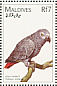 Grey Parrot Psittacus erithacus  1997 Birds of the world Sheet