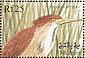 Cinnamon Bittern Ixobrychus cinnamomeus  1999 Nature wonderland  MS