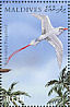 Red-tailed Tropicbird Phaethon rubricauda